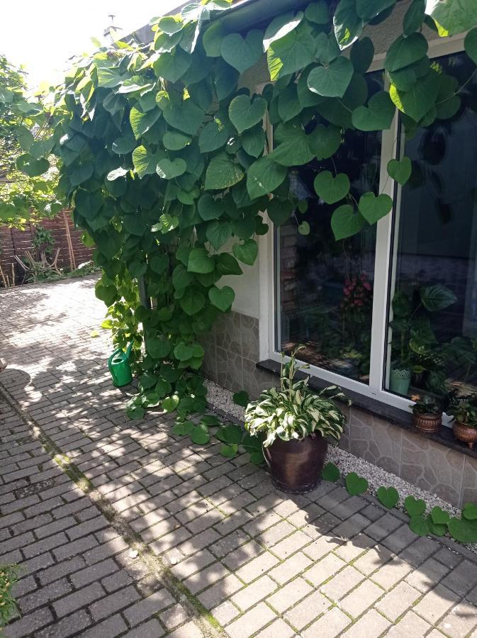 Pokoje Goscinne Cisowa Zielona Góra Exteriör bild